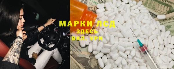трава Ельня