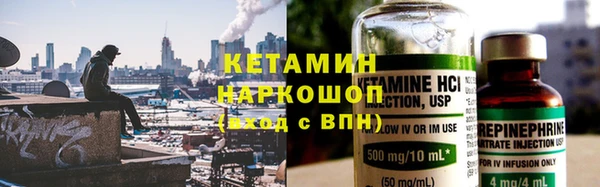 трава Ельня