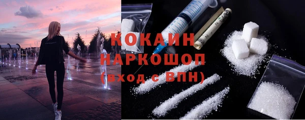 трава Ельня