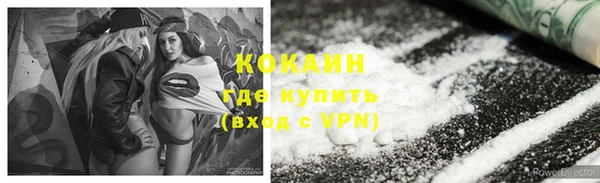 трава Ельня