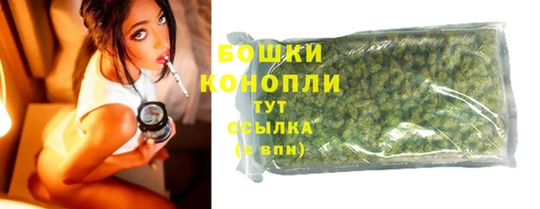 трава Ельня