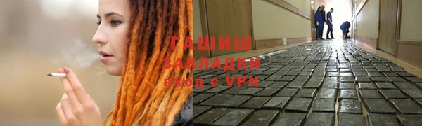 прущие грибы Елабуга