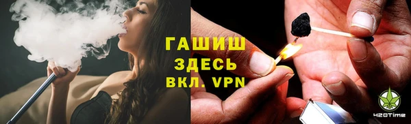 прущие грибы Елабуга