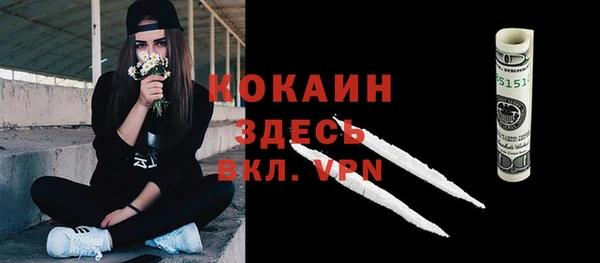 прущие грибы Елабуга