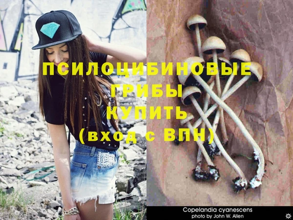 кокаин VHQ Елизово