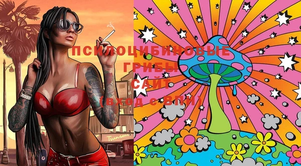 трава Ельня