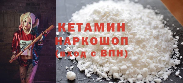 прущие грибы Елабуга