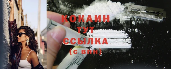 трава Ельня