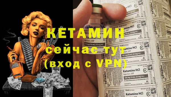 трава Ельня