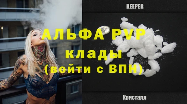 трава Ельня