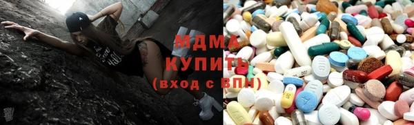 прущие грибы Елабуга